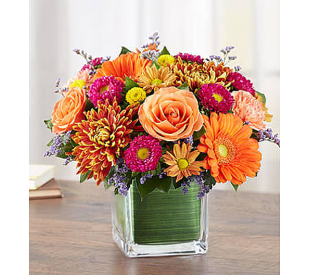 Brilliant Autumn Medley™
