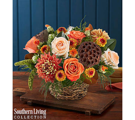 Woodland Bird’s Nest™ by Southern Living®