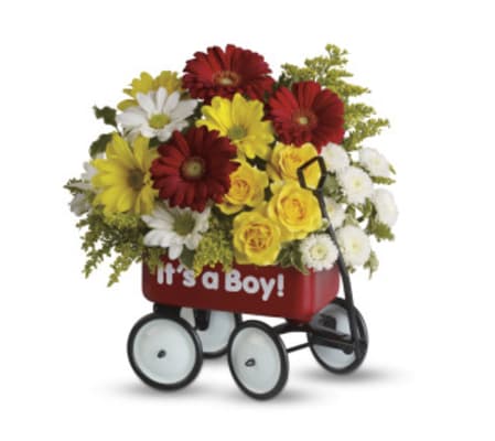 Baby Boy's Welcome Wagon