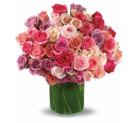 Rose Rapture