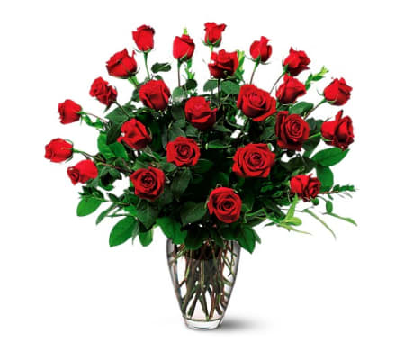 2 dozen roses Vased