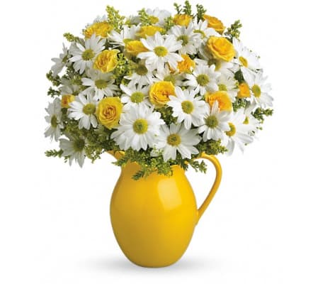 Teleflora's Sunny Day Pitcher of Daisies