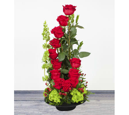 Spiral Up Roses
