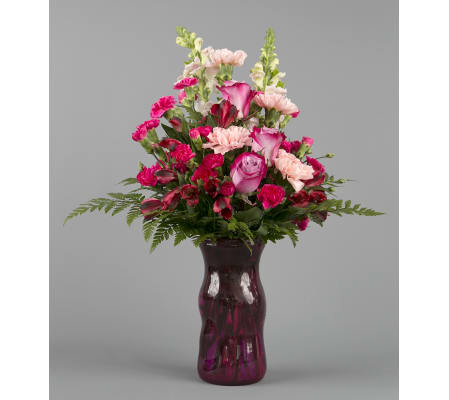 Rainbow of Pinks