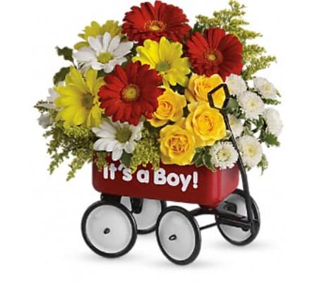 Baby's Wow Wagon - Boy