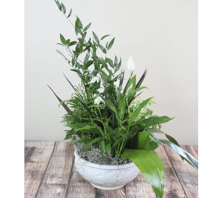 The Flower Boutique Medium Dish Garden