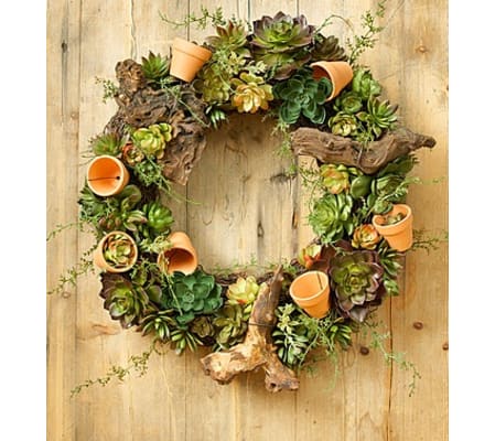 Simply Succulents