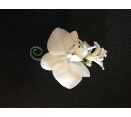 phalaenopsis boutonniere