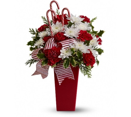 Peppermint Posies