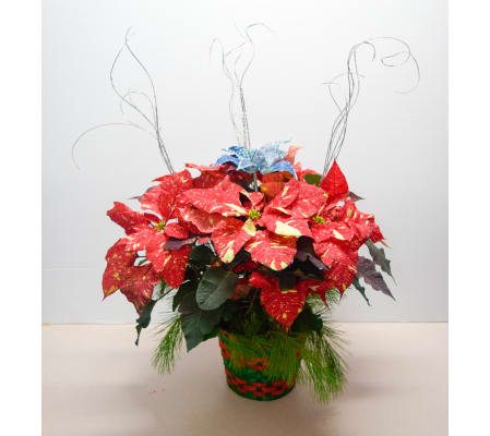 Marble Poinsettia Basket