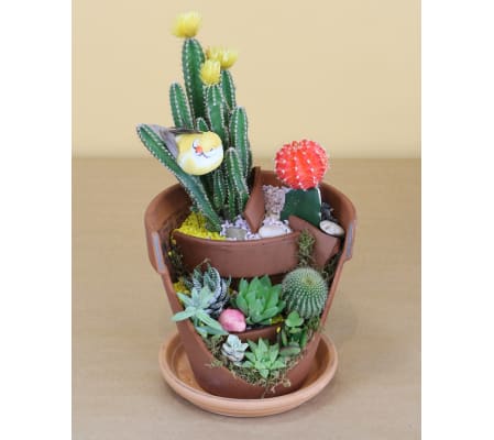Garden of Clay