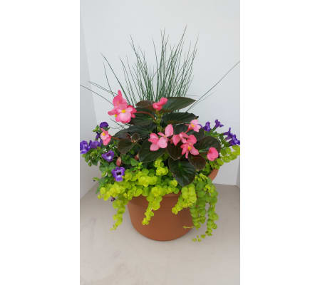 Patio Pot for Shade