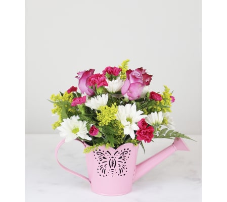 May Flowers