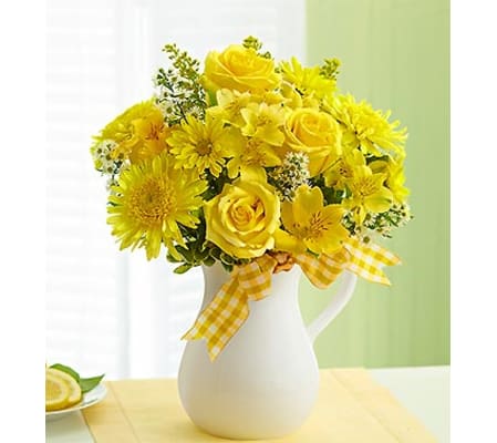Summer Pitcher 2015