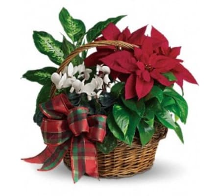 Homecoming Basket