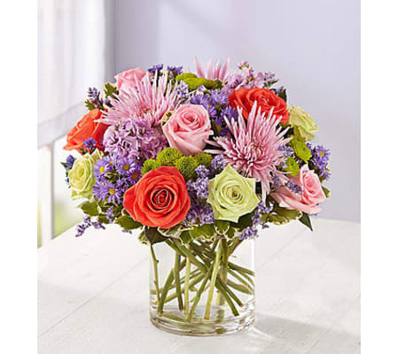 Beauty in Abundance™