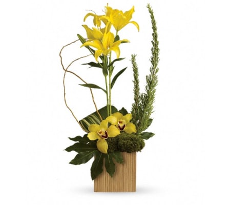 Teleflora's Bamboo Tropics