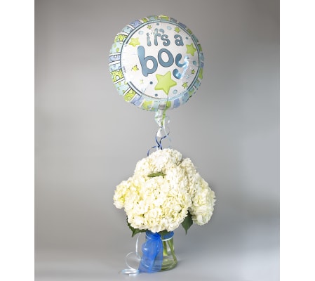 Oh Boy, It's a Boy!