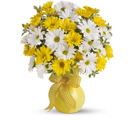 Teleflora's Upsy Daisy