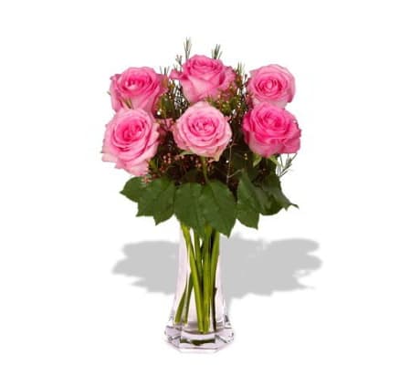 Exquisite Roses in PInk