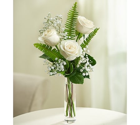 Love’s Embrace™ Roses – White