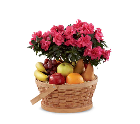 The FTD® Encircling Grace™ Fruit & Plant