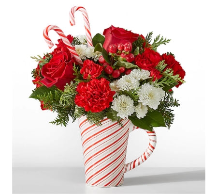 Peppermint Swirl Mug