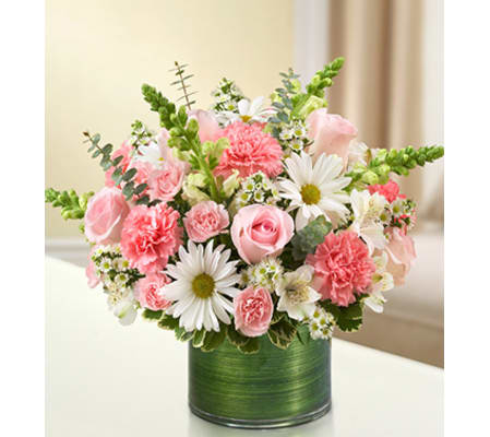 Cherished Memories - Pink and White