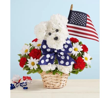 Yankee Doodle Doggie™