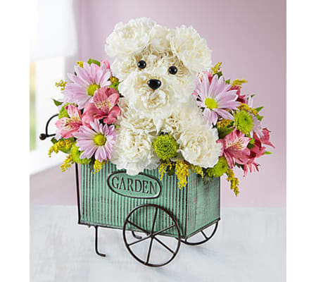 Pup N’ Posies™