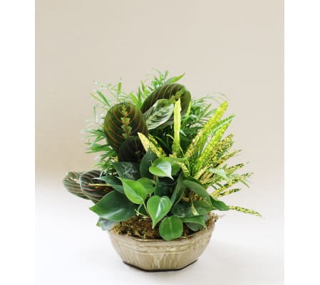 Decorative Custom Dish Garden