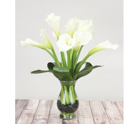 Exquisite Calla Lily