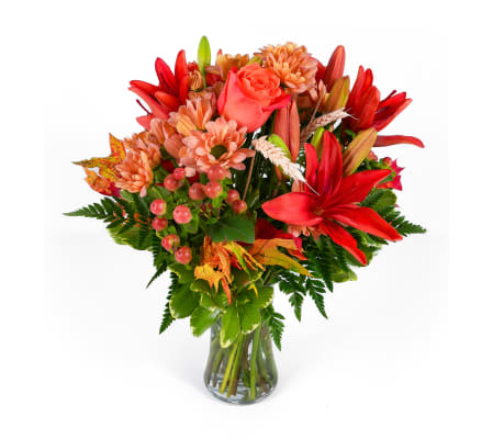 Apple Cider Morning™