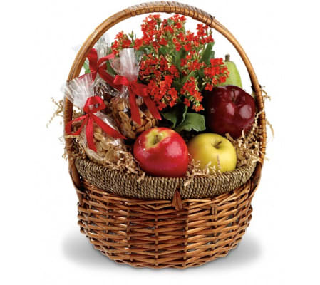 Health Nut Basket with Plant
