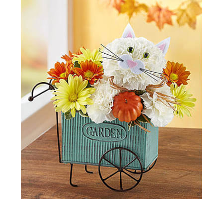 Fabulous Fall Feline™