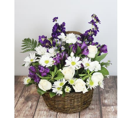 Shades of a Moonlight Sky