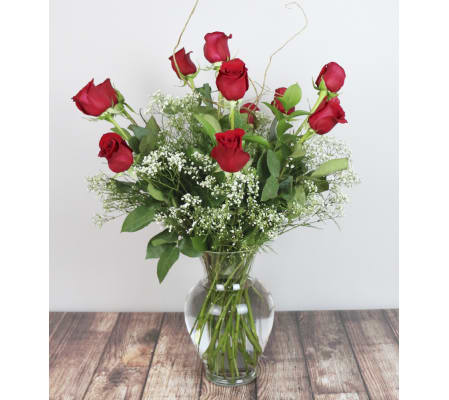 Rudy's Classic Red Rose Arrangement with Baby's Breath