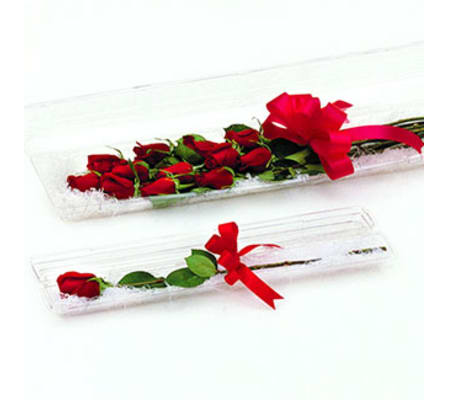 A Dozen Boxed Premium Roses
