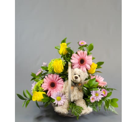 Take Me Home Cute Bear
