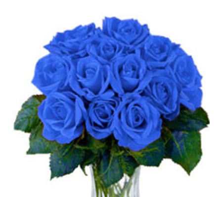 Blue roses in love