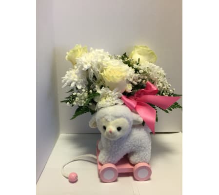 Sweet Baby Lamb, Pink