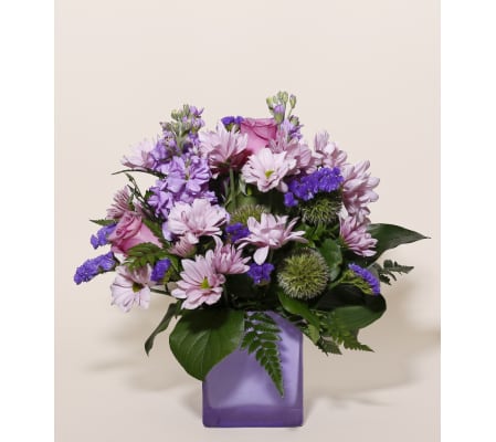 Lavender & Chamomille