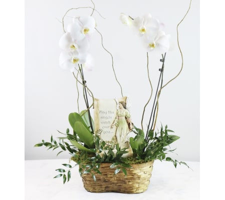Memorial Orchid Planter Basket