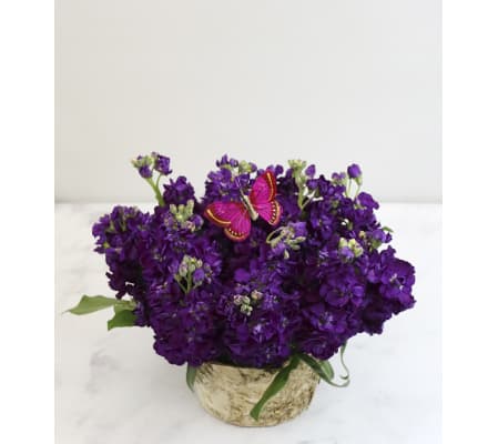 Rustic Purple Passion