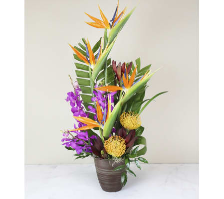 Old City's Tropical Breeze