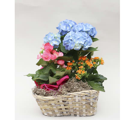 Peter's Spring Garden Basket