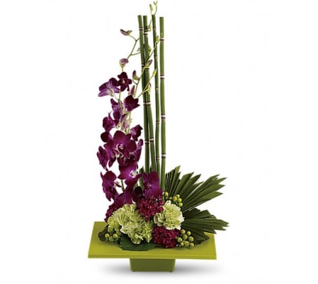 Zen Artistry TF