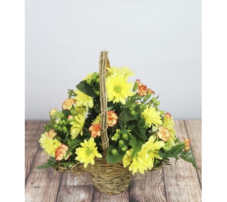 The Brightest Blooms