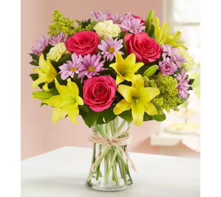 The Fields of Europe™ for Spring XL