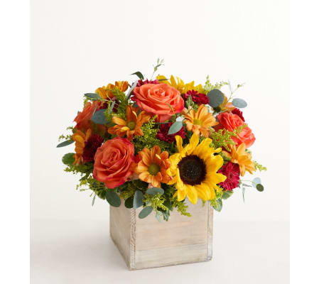 The Harvest Glow™ Bouquet